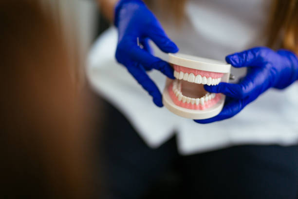  Cedville, AR Holistic Dental Services Pros